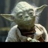 Yoda.jpg